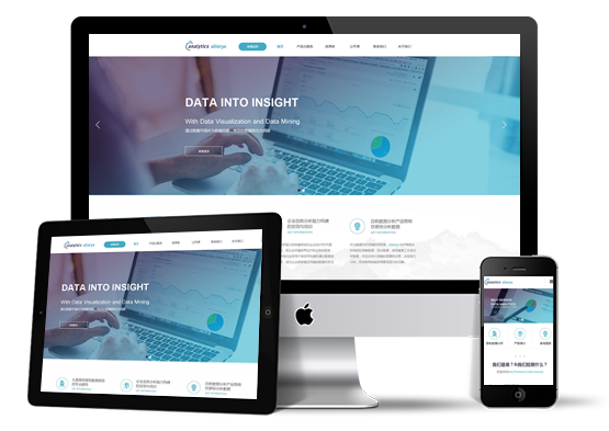 營(yíng)銷(xiāo)型企業(yè)網(wǎng)站開(kāi)發(fā)